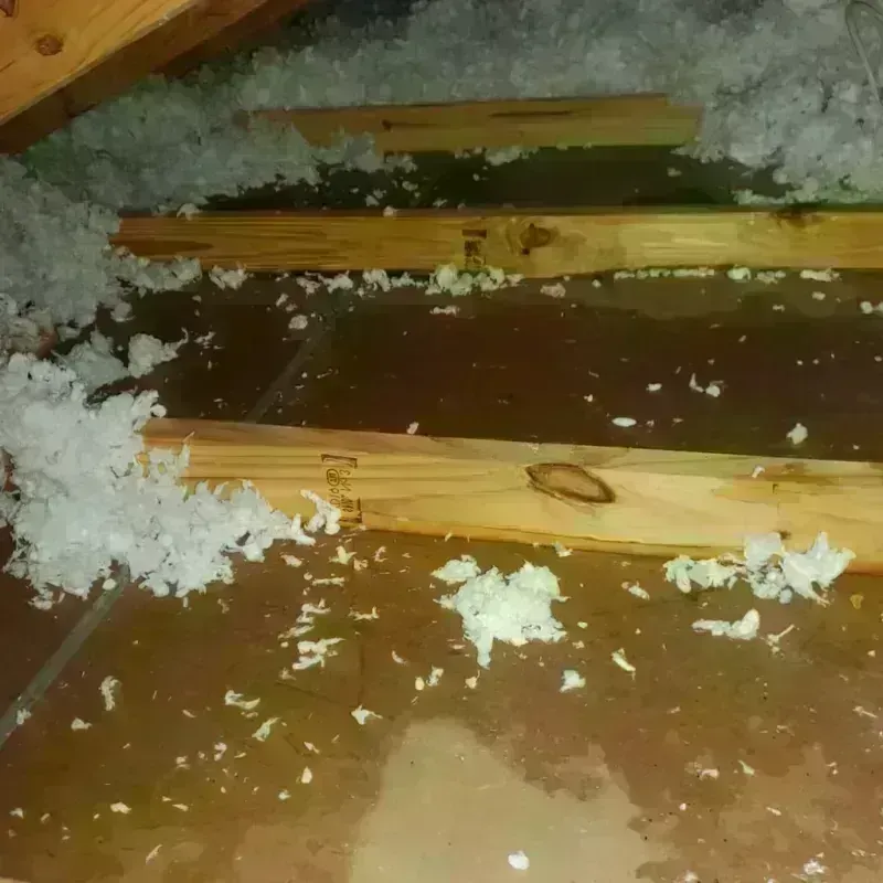 Attic Water Damage in Molino, FL