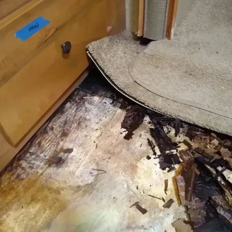 Best Wood Floor Water Damage Service in Molino, FL